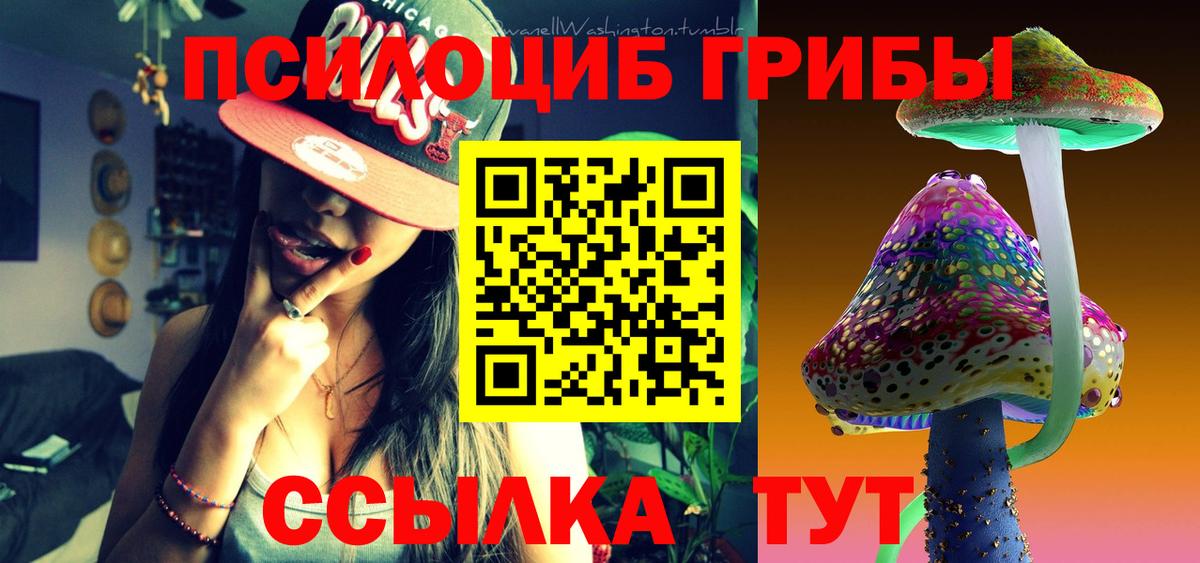 закладки  Галлюциногенные грибы мицелий  Прохладный  Вход с VPN  Псилоцибиновые грибы Psilocybine cubensis 
